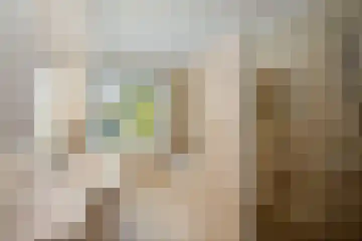 de Decanije 41 Vorden thumbnail 38
