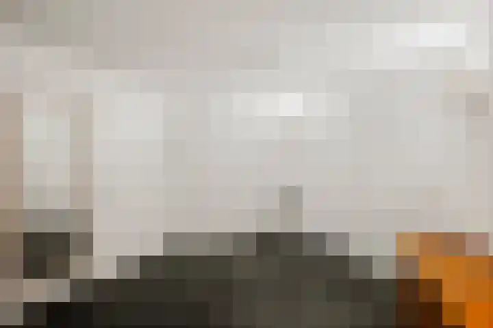 de Decanije 41 Vorden thumbnail 42