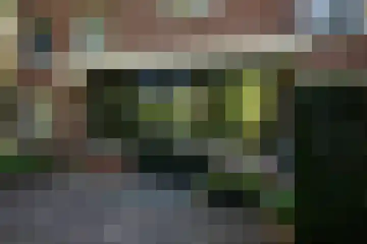 de Decanije 41 Vorden thumbnail 45