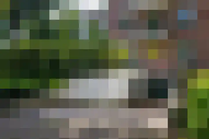 de Decanije 41 Vorden thumbnail 46