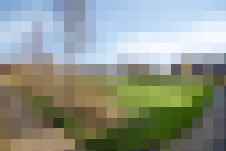 de Decanije 41 Vorden thumbnail 47