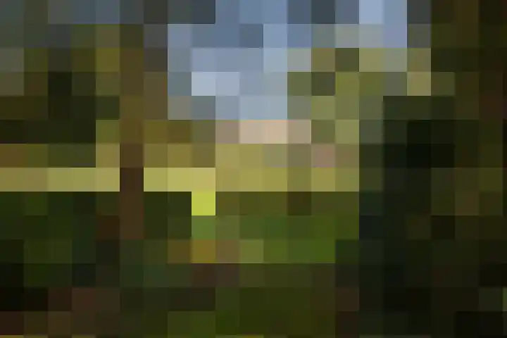 de Decanije 41 Vorden thumbnail 50