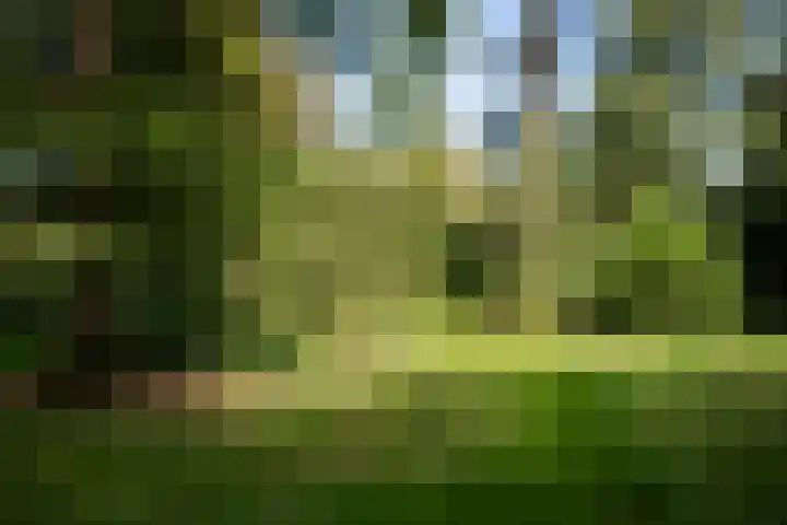 de Decanije 41 Vorden thumbnail 51