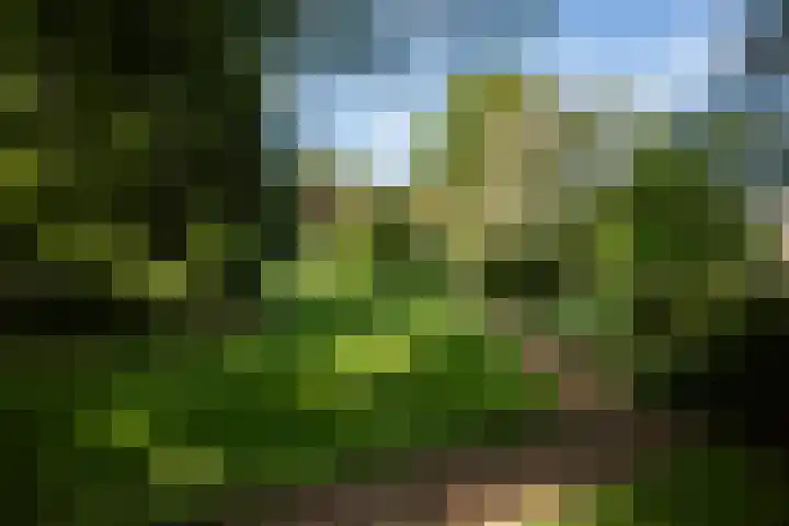 de Decanije 41 Vorden thumbnail 52