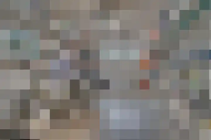 de Decanije 41 Vorden thumbnail 54