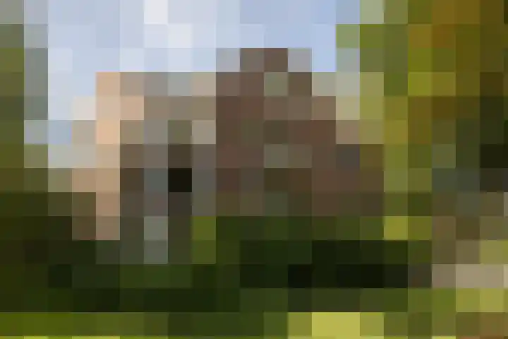 de Decanije 41 Vorden thumbnail 55