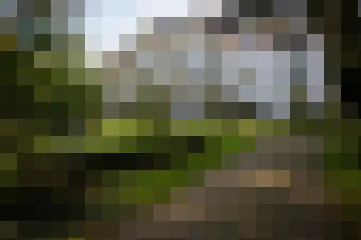 de Decanije 41 Vorden thumbnail 57