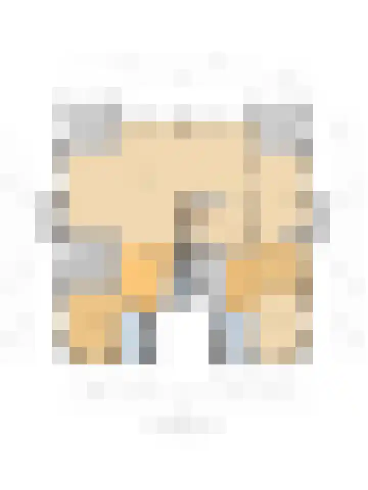 de Decanije 41 Vorden thumbnail 58