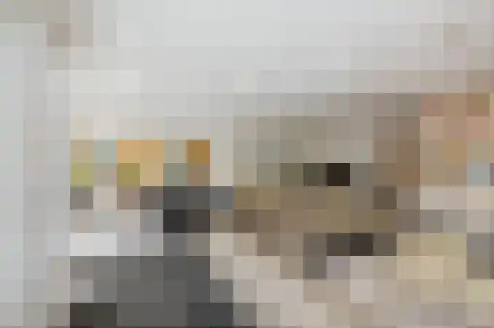 de Decanije 41 Vorden thumbnail 8