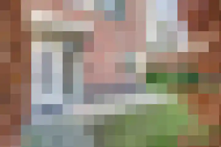 de Decanije 41 Vorden thumbnail 9