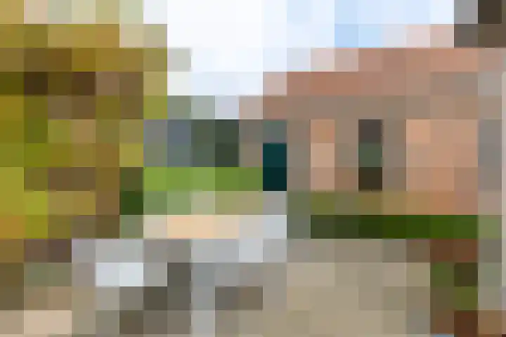 De Deckerestraat 23 Oost-Souburg thumbnail 17