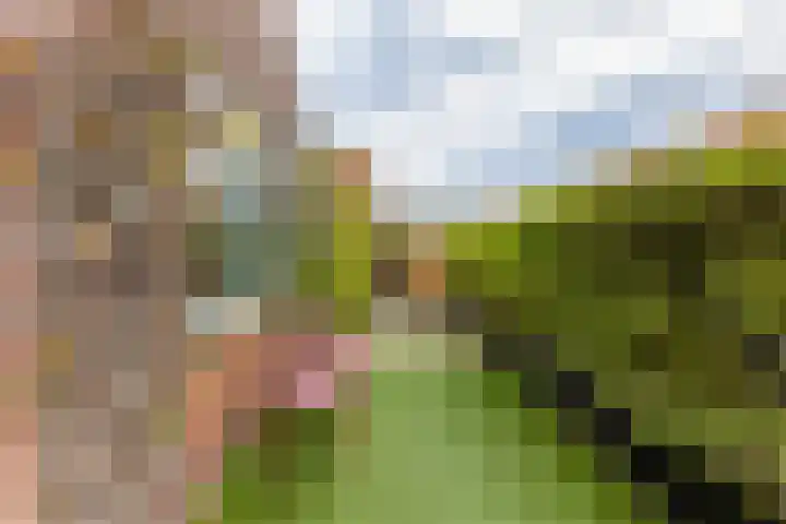De Deckerestraat 23 Oost-Souburg thumbnail 21