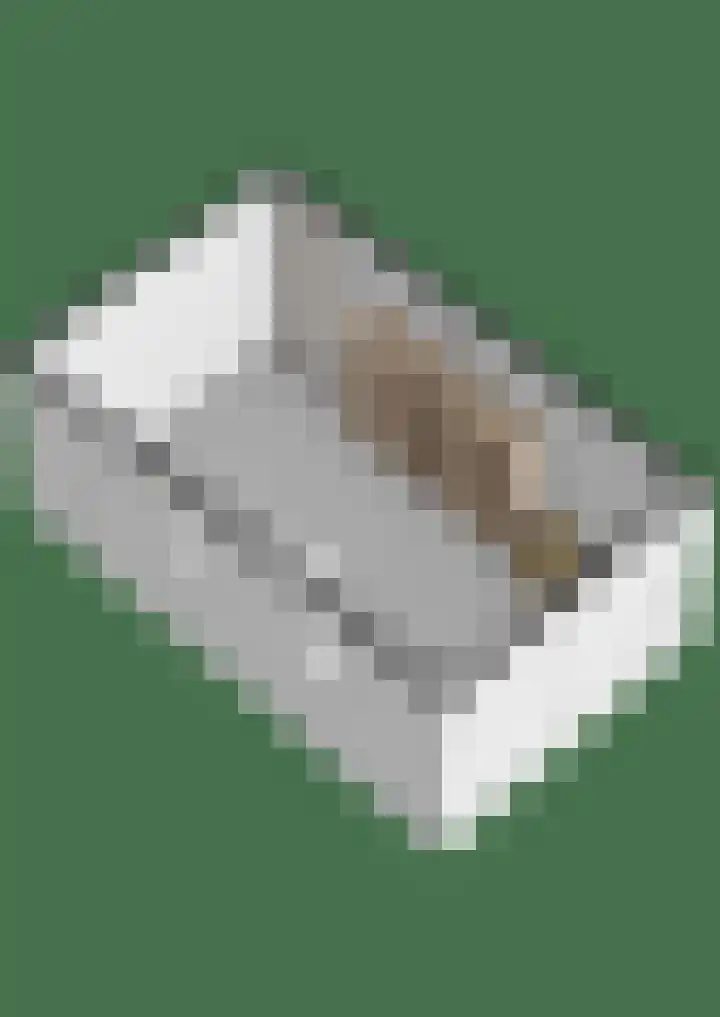 De Deckerestraat 23 Oost-Souburg thumbnail 41