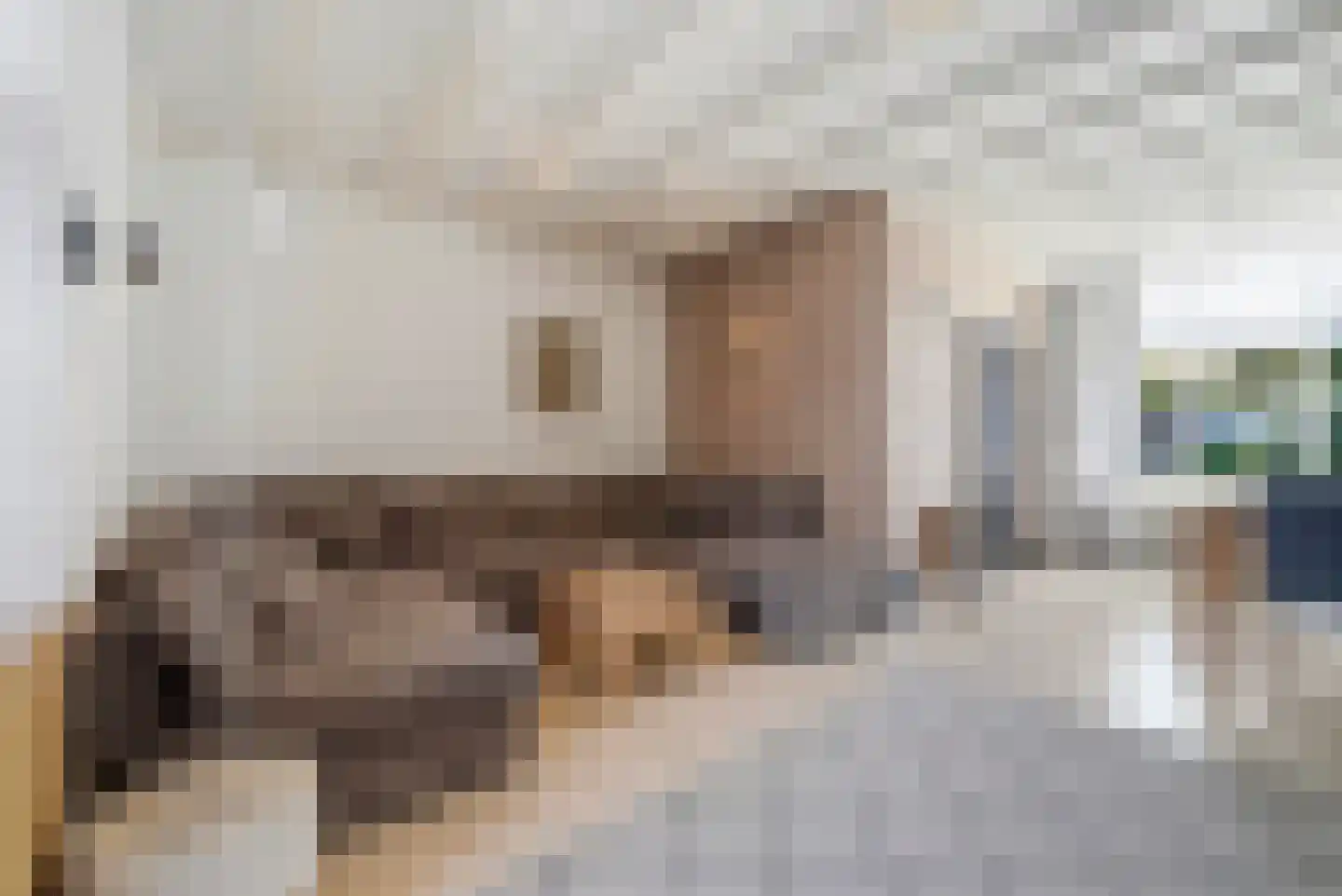 De Deckerestraat 3 Oost-Souburg thumbnail 13