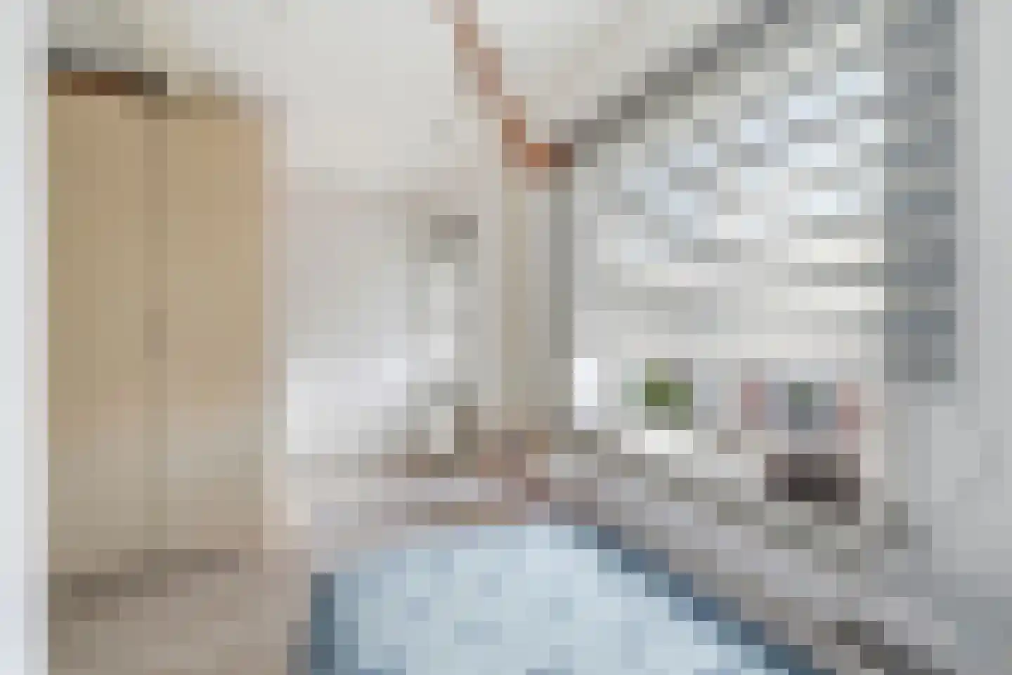 De Deckerestraat 3 Oost-Souburg thumbnail 23