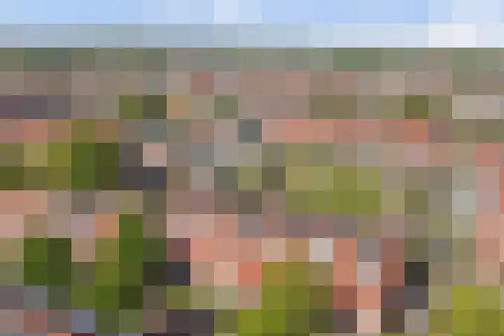 De Deckerestraat 32 Oost-Souburg thumbnail 36