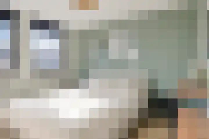 De Deel 1 Biddinghuizen thumbnail 24