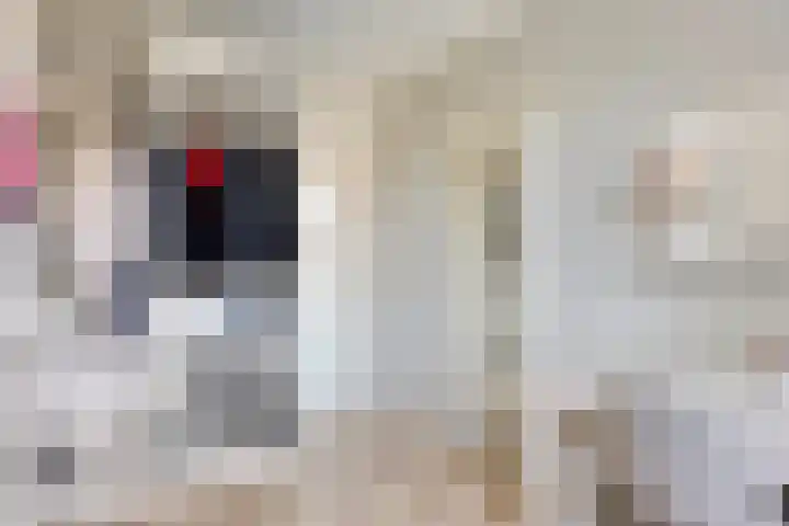De Deel 1 Biddinghuizen thumbnail 31