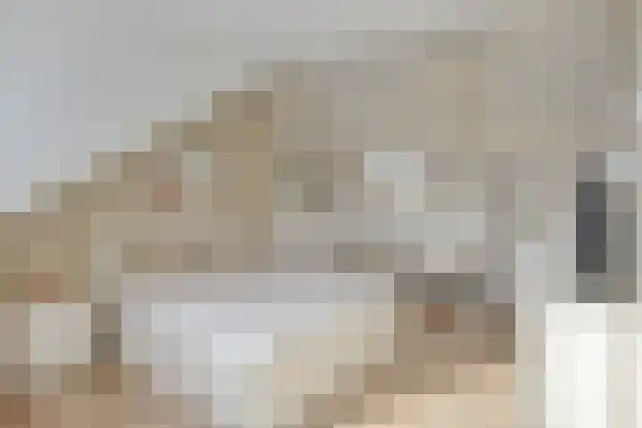 De Deel 1 Biddinghuizen thumbnail 32