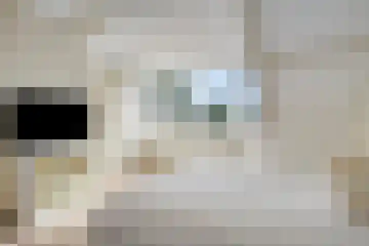 De Deel 1 Biddinghuizen thumbnail 34