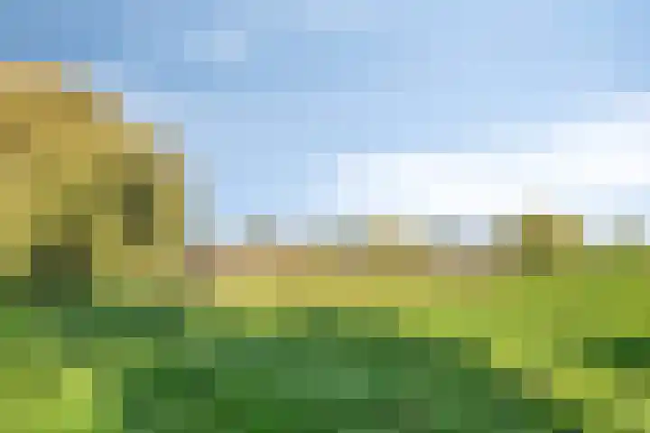 De Deel 1 Biddinghuizen thumbnail 39