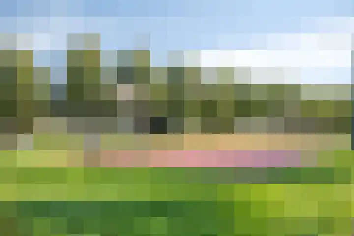 De Deel 1 Biddinghuizen thumbnail 40