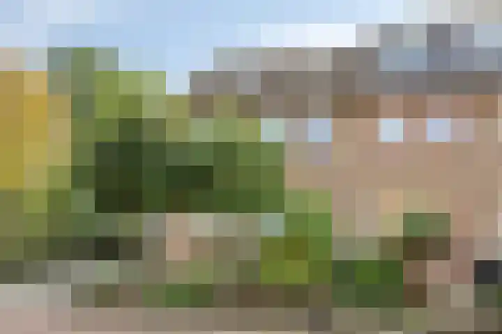 De Deel 1 Biddinghuizen thumbnail 5