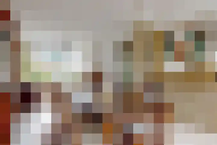 de Deel 1 Kamerik thumbnail 10