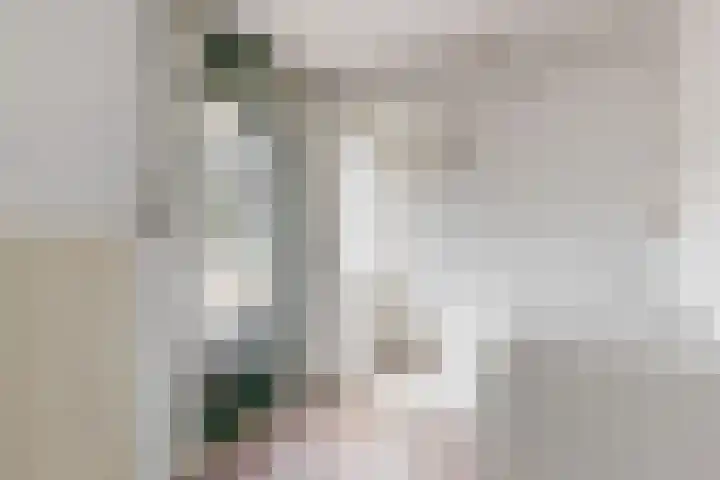de Deel 1 Kamerik thumbnail 13