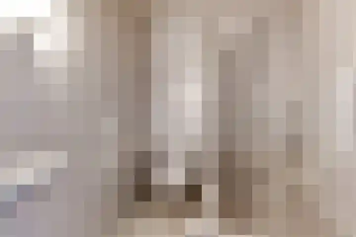 de Deel 1 Kamerik thumbnail 23