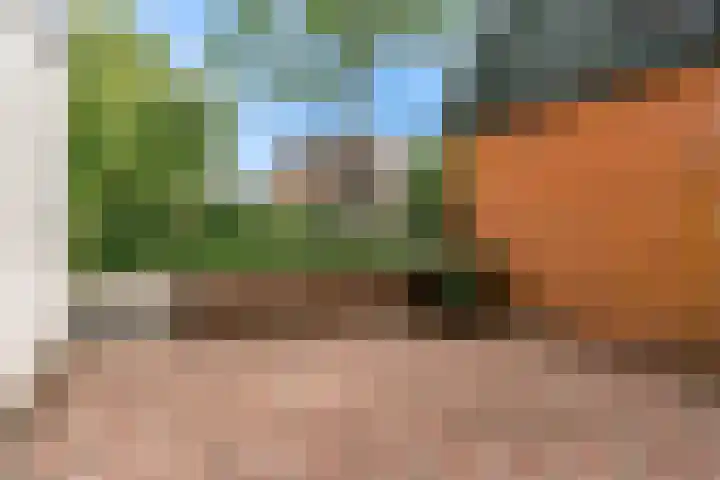 de Deel 1 Kamerik thumbnail 30