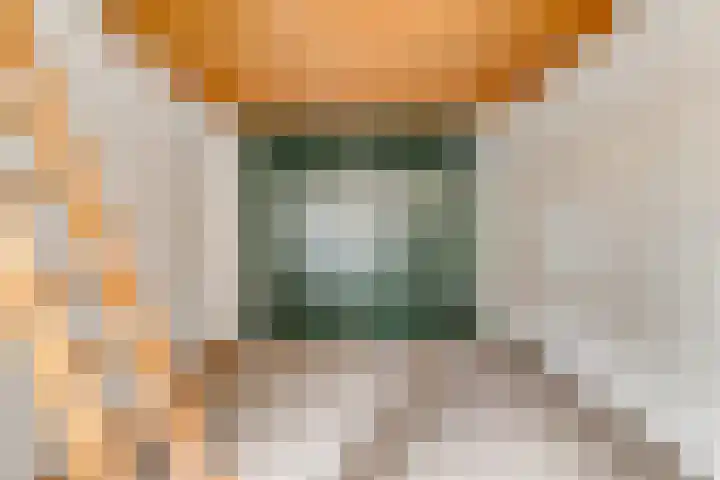 de Deel 1 Kamerik thumbnail 33