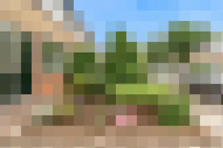 de Deel 1 Kamerik thumbnail 37