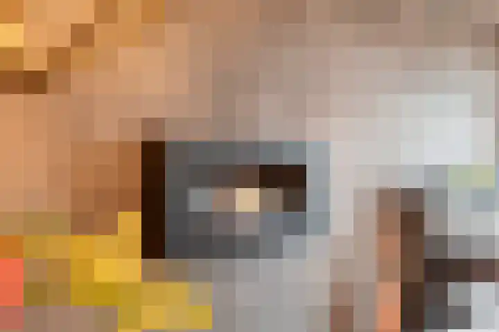 de Deel 102 Raalte thumbnail 10
