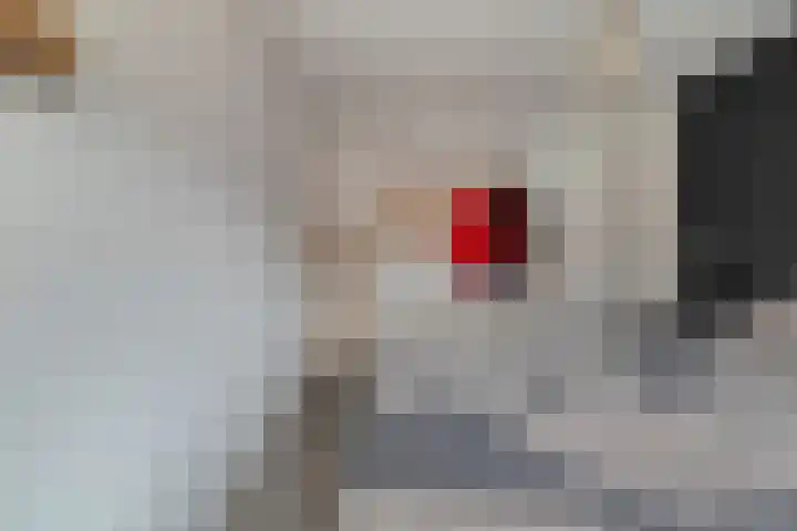 de Deel 102 Raalte thumbnail 18