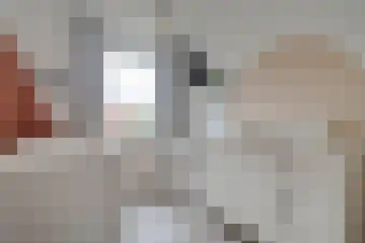 de Deel 102 Raalte thumbnail 22