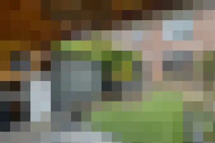 de Deel 102 Raalte thumbnail 36