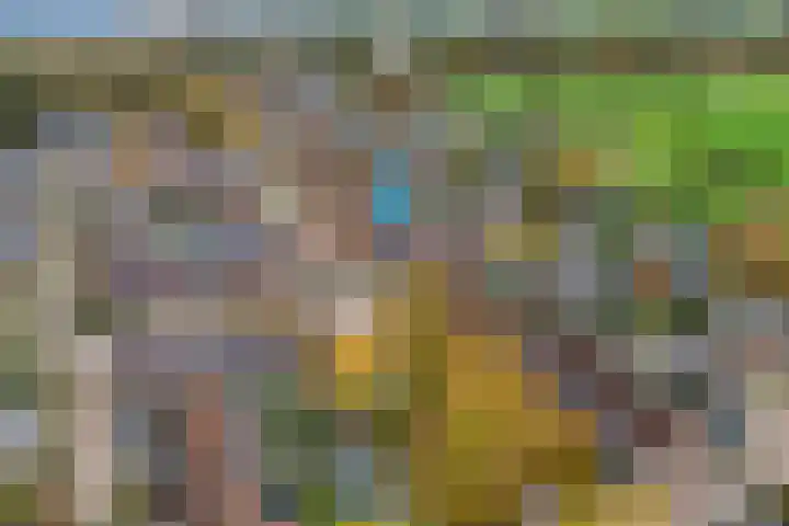 de Deel 102 Raalte thumbnail 40