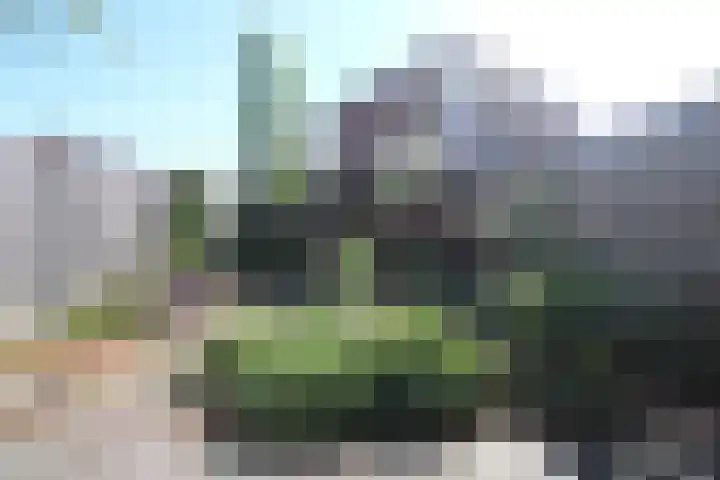 de Deel 104 Raalte thumbnail 15