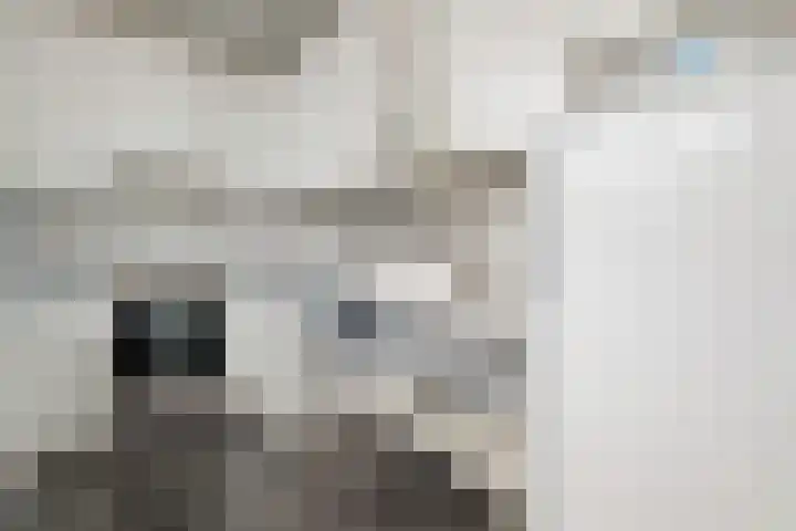 De Deel 11 Klijndijk thumbnail 19