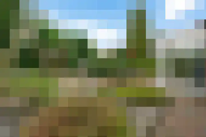 De Deel 11 Klijndijk thumbnail 34