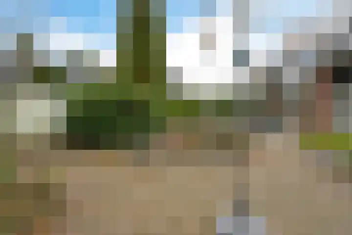 De Deel 11 Klijndijk thumbnail 37