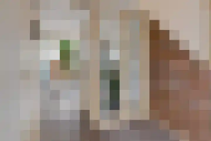 De Deel 11 Klijndijk thumbnail 6