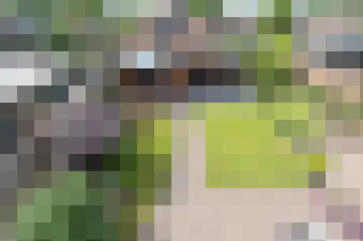 De Deel 14 Klijndijk thumbnail 31
