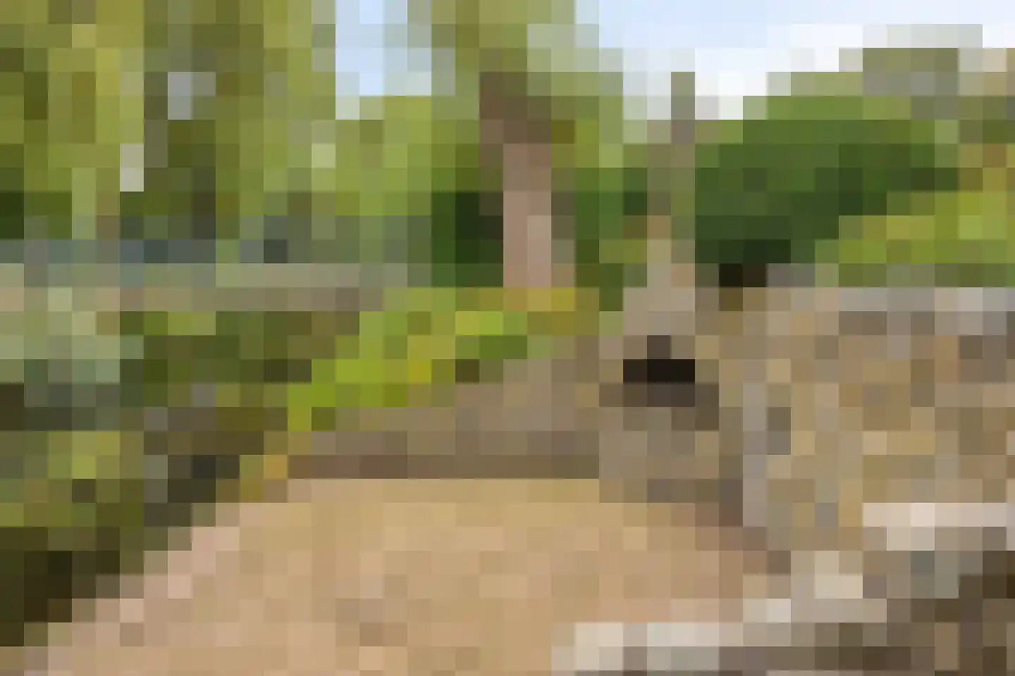 De Deel 17 Veenendaal thumbnail 40