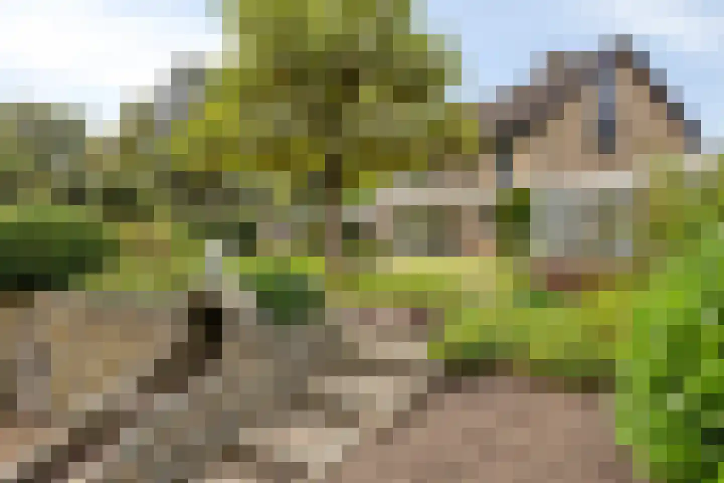 De Deel 17 Veenendaal thumbnail 41