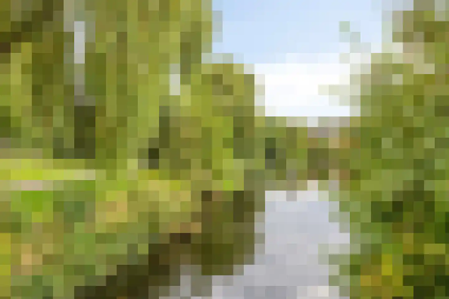 De Deel 17 Veenendaal thumbnail 46