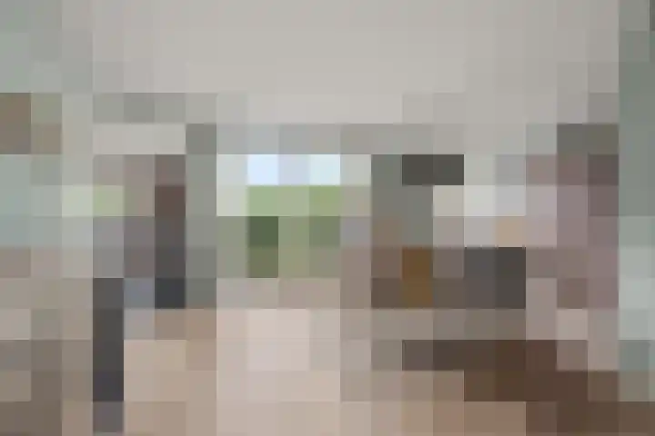 de Deel 19 Kamerik thumbnail 11