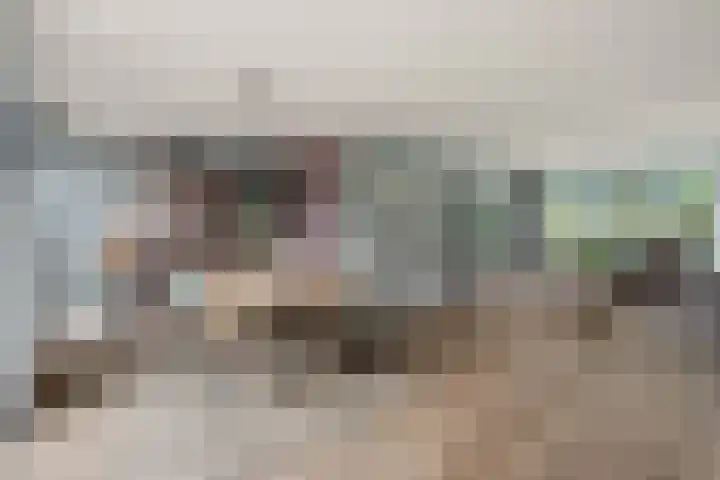 de Deel 19 Kamerik thumbnail 12