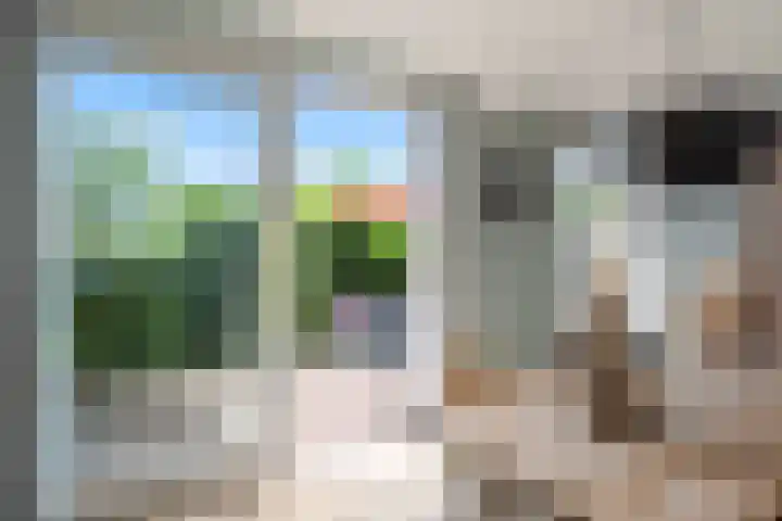 de Deel 19 Kamerik thumbnail 13